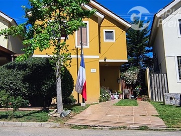 Imagen 5