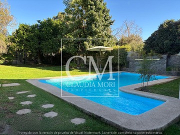 Imagen 12