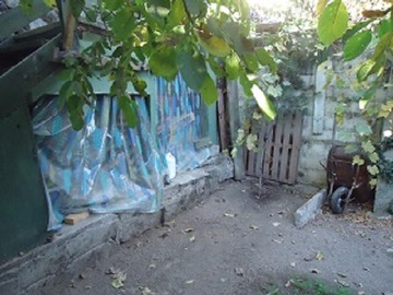 Imagen 7