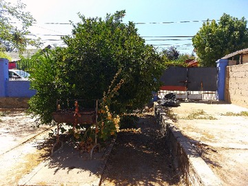 Imagen 17
