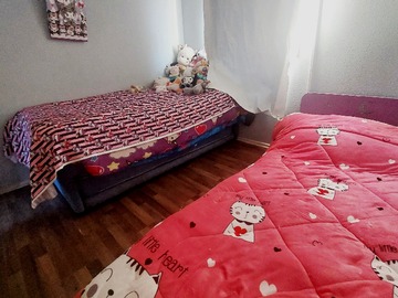 Imagen 11