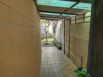 Imagen 11