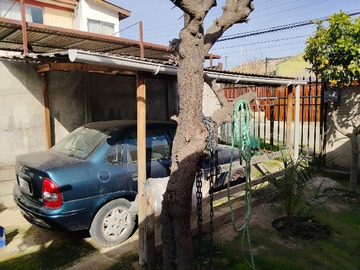 Imagen 13