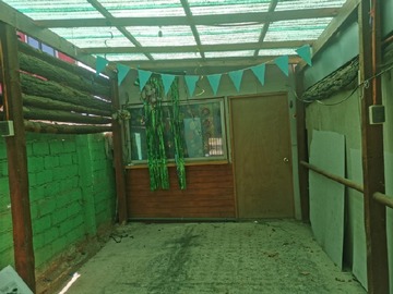 Imagen 8