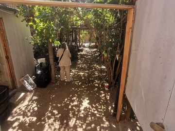 Imagen 7