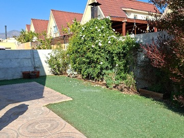 Patio trasero