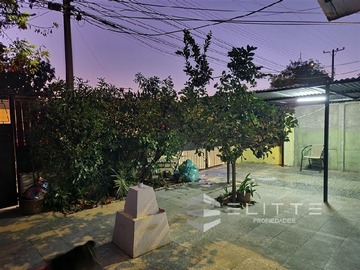 Imagen 11