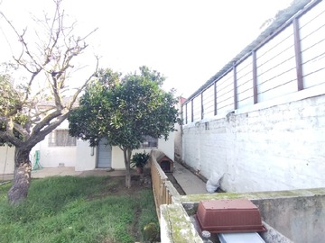 Imagen 6
