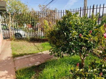 Imagen 6
