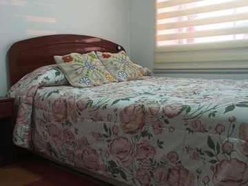 Imagen 13