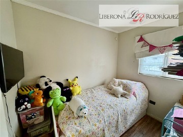 Imagen 11