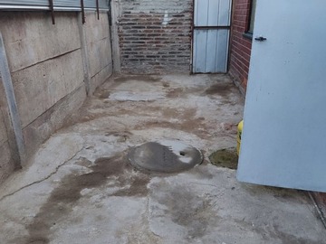 Imagen 17