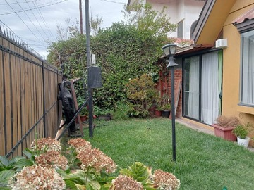 Imagen 5