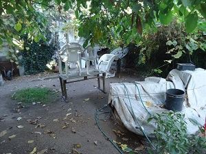 Imagen 9