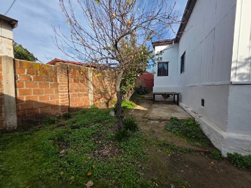 Imagen 13
