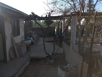 Imagen 13