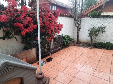 Imagen 11