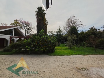 Imagen 7