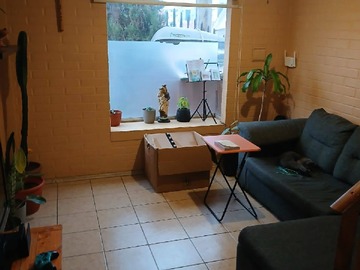 Imagen 9