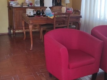 Imagen 11