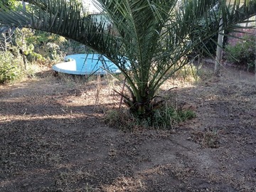 Imagen 15