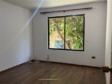 Imagen 12