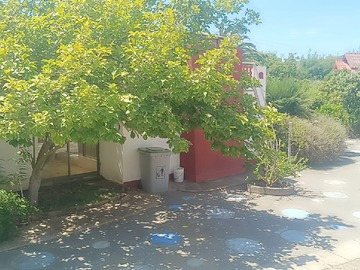 Imagen 13