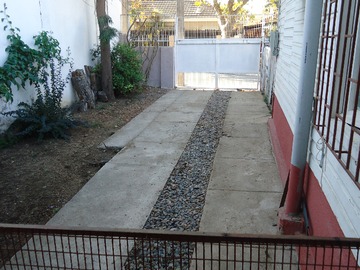Imagen 5