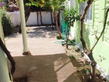 Imagen 6