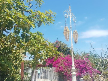 Imagen 22