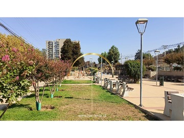 Imagen 26