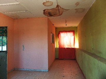 Imagen 13