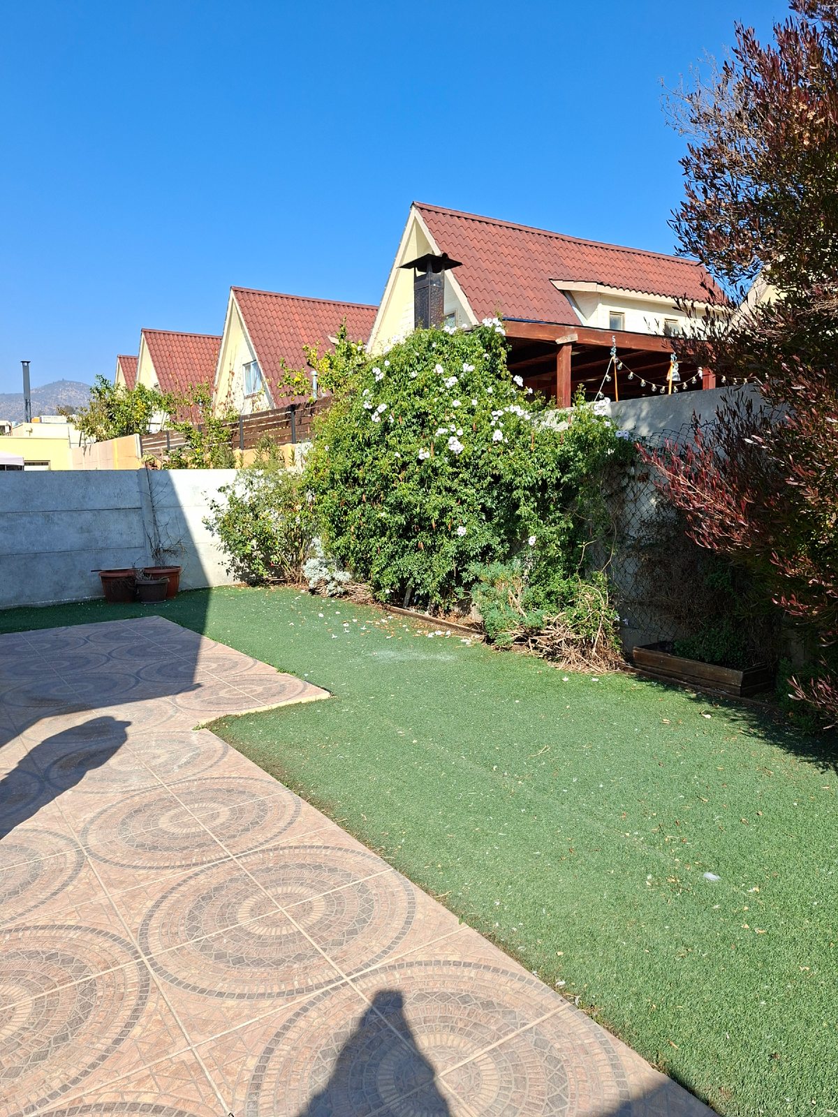 Patio trasero