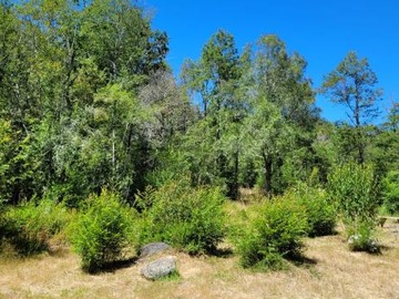 Venta / Casa / Villarrica