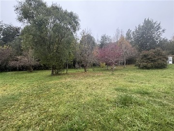 Imagen 20