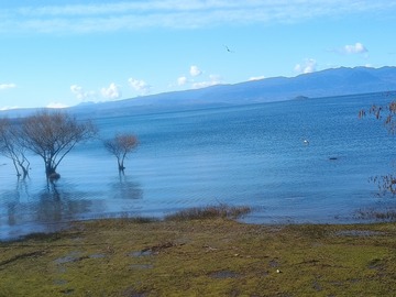 Costanera Villarrica a 10' de la casa