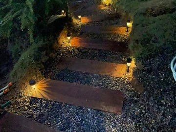 Imagen 20