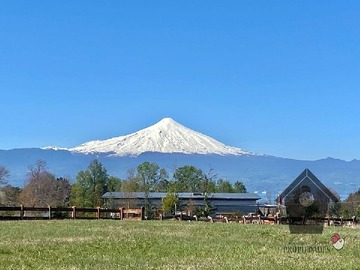 Venta / Casa / Villarrica