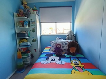 Imagen 11