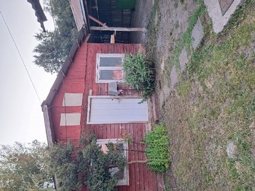 Imagen 6