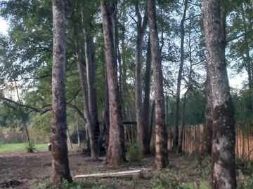 Imagen 6
