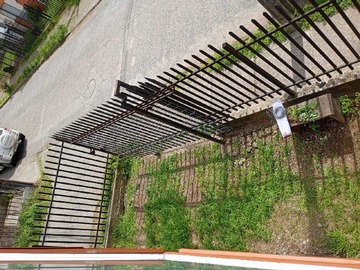 Imagen 6