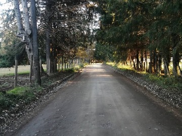 Venta / Casa / Villarrica