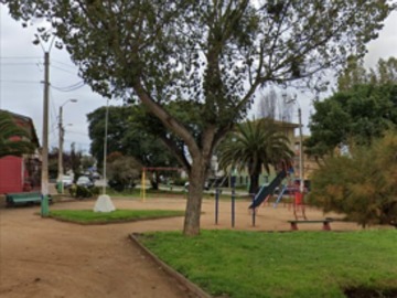 Imagen 11