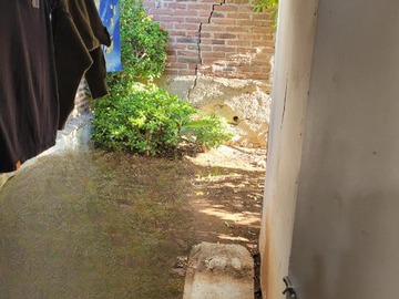 Imagen 12