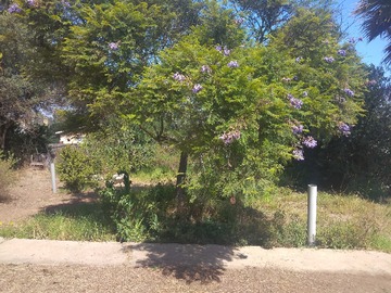 Imagen 22