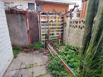 Imagen 8
