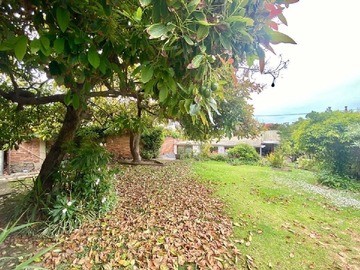 Imagen 30