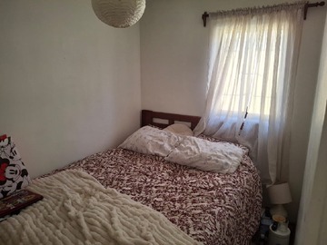 Imagen 8