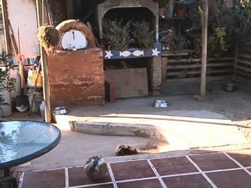 Imagen 7